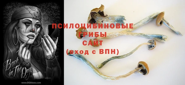 apvp Алексин