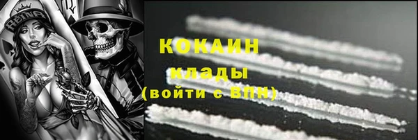 apvp Алексин