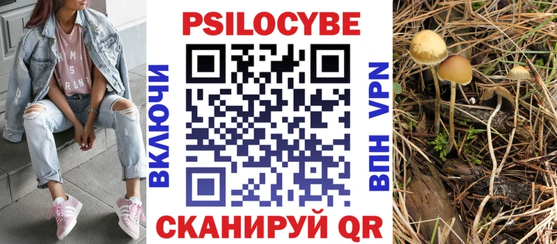 Галлюциногенные грибы прущие грибы  Лобня 