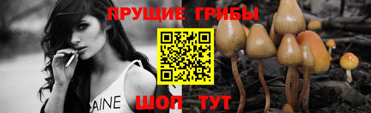 Лобня  Псилоцибиновые грибы Cubensis  Галлюциногенные грибы прущие грибы  Вход с VPN 